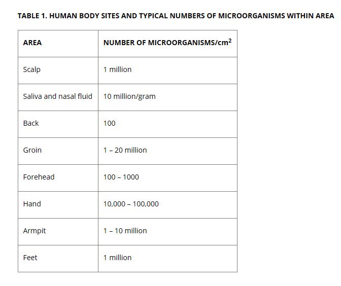 human body microorganisms - cleanroom